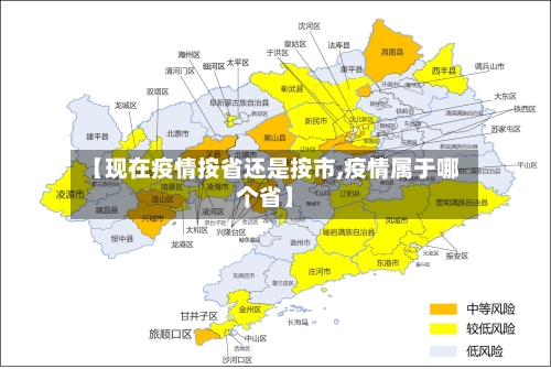 【现在疫情按省还是按市,疫情属于哪个省】-第1张图片