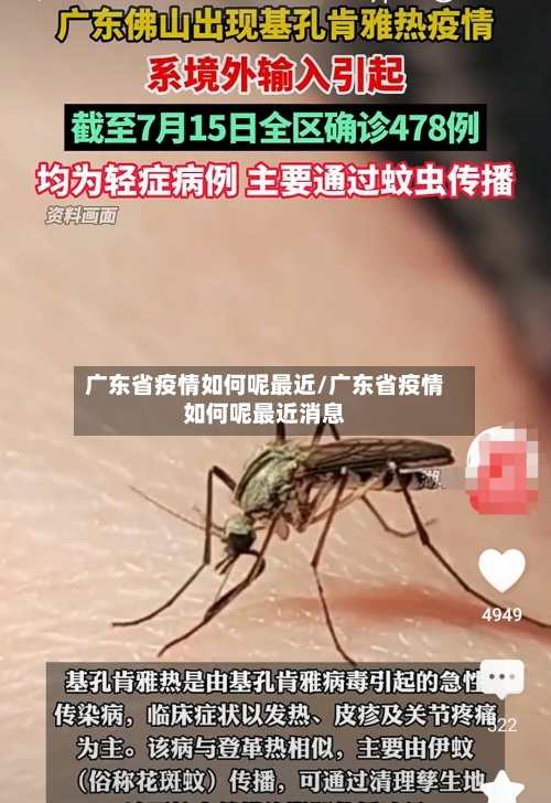 广东省疫情如何呢最近/广东省疫情如何呢最近消息-第1张图片