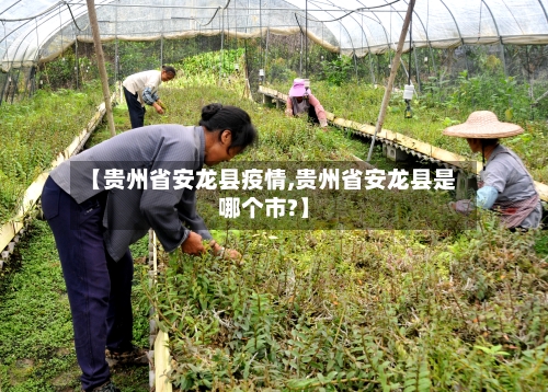 【贵州省安龙县疫情,贵州省安龙县是哪个市?】-第2张图片