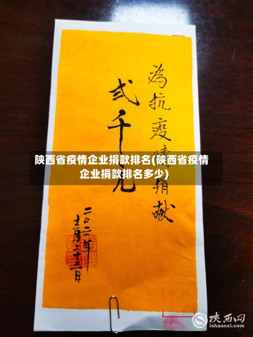 陕西省疫情企业捐款排名(陕西省疫情企业捐款排名多少)-第1张图片