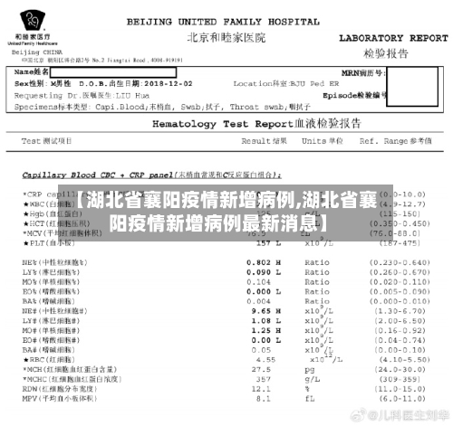 【湖北省襄阳疫情新增病例,湖北省襄阳疫情新增病例最新消息】-第2张图片