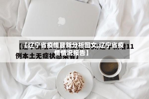 【辽宁省疫情最新分析图文,辽宁省疫情情况报告】-第3张图片