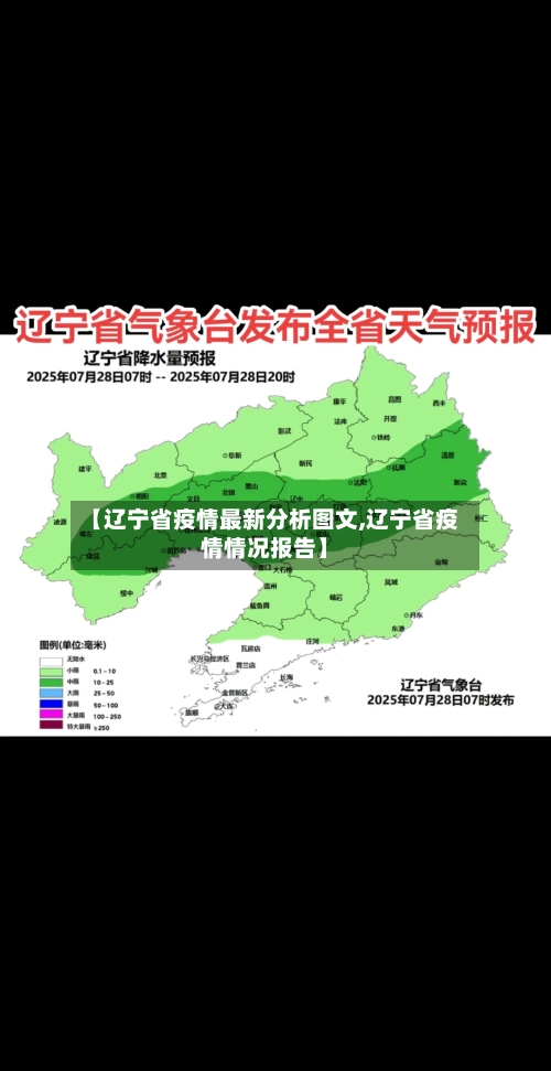 【辽宁省疫情最新分析图文,辽宁省疫情情况报告】-第2张图片