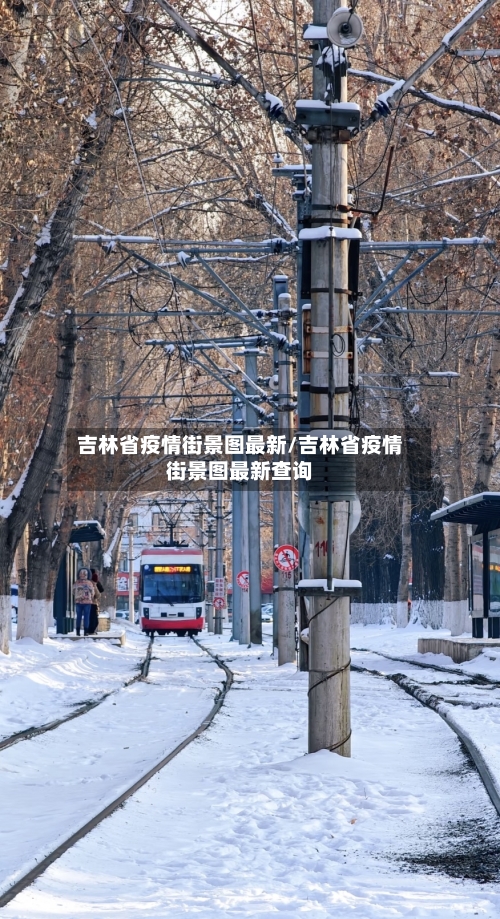 吉林省疫情街景图最新/吉林省疫情街景图最新查询-第3张图片