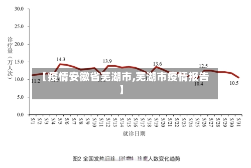 【疫情安徽省芜湖市,芜湖市疫情报告】-第1张图片
