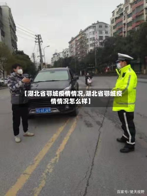【湖北省鄂城疫情情况,湖北省鄂城疫情情况怎么样】-第2张图片