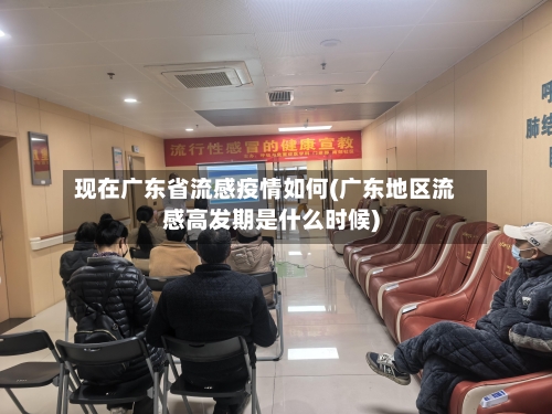 现在广东省流感疫情如何(广东地区流感高发期是什么时候)-第1张图片