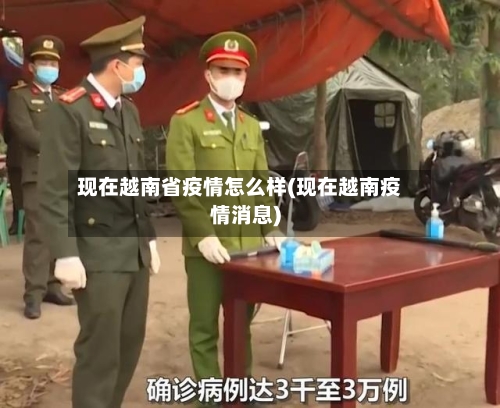 现在越南省疫情怎么样(现在越南疫情消息)-第2张图片