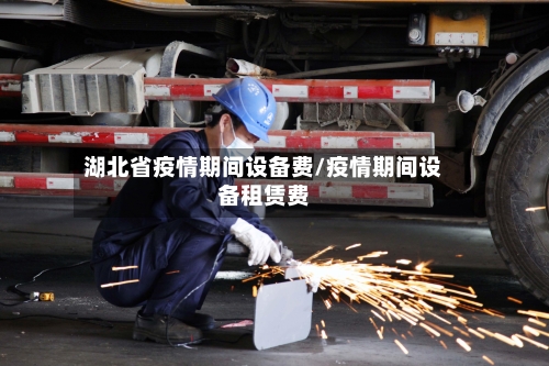 湖北省疫情期间设备费/疫情期间设备租赁费-第3张图片