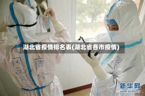 湖北省疫情排名表(湖北省各市疫情)-第3张图片