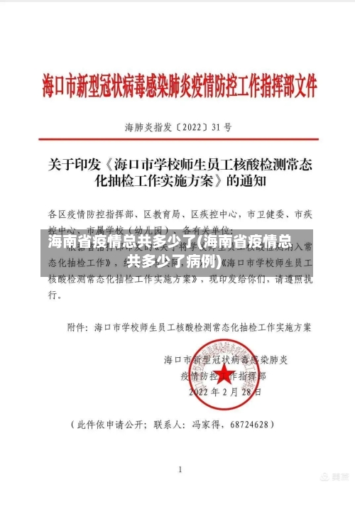 海南省疫情总共多少了(海南省疫情总共多少了病例)-第3张图片