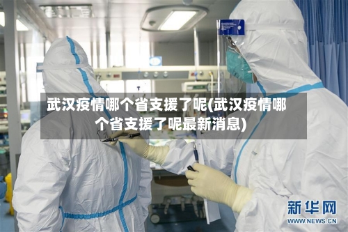 武汉疫情哪个省支援了呢(武汉疫情哪个省支援了呢最新消息)-第2张图片