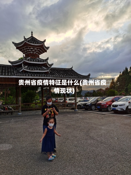 贵州省疫情特征是什么(贵州省疫情现状)-第3张图片