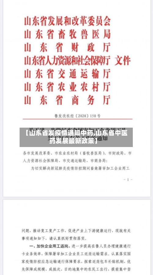 【山东省发疫情通知中药,山东省中医药发展最新政策】-第1张图片