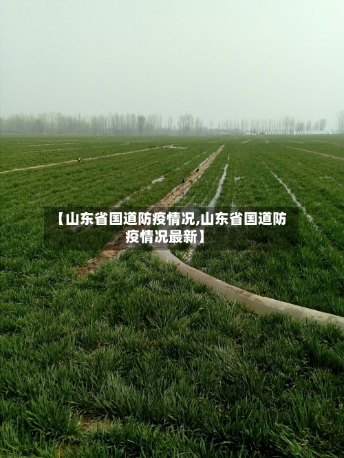【山东省国道防疫情况,山东省国道防疫情况最新】-第3张图片