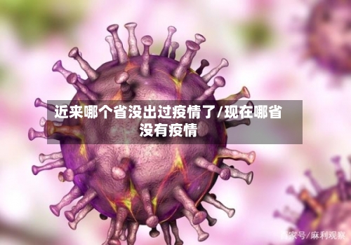 近来哪个省没出过疫情了/现在哪省没有疫情-第3张图片