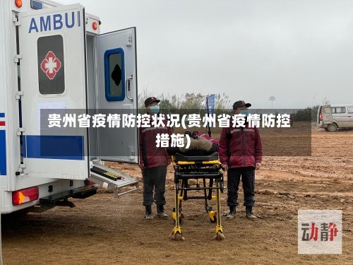 贵州省疫情防控状况(贵州省疫情防控措施)-第3张图片