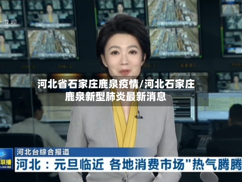河北省石家庄鹿泉疫情/河北石家庄鹿泉新型肺炎最新消息-第2张图片