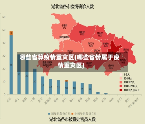 哪些省算疫情重灾区(哪些省份属于疫情重灾区)-第1张图片