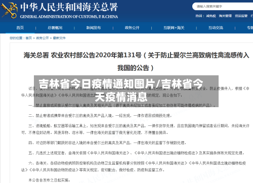 吉林省今日疫情通知图片/吉林省今天疫情消息-第1张图片