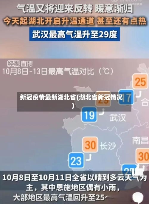 新冠疫情最新湖北省(湖北省新冠情况)-第2张图片