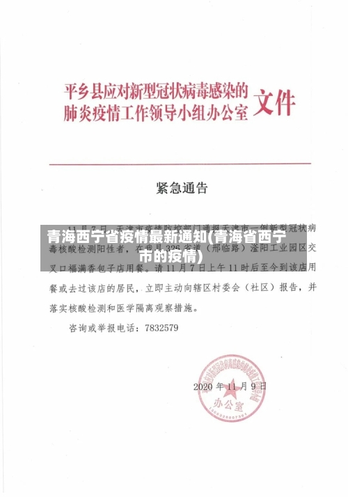 青海西宁省疫情最新通知(青海省西宁市的疫情)-第2张图片