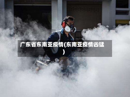 广东省东南亚疫情(东南亚疫情凶猛)-第3张图片