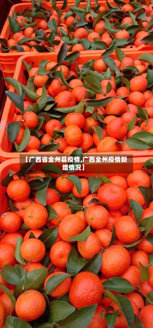 【广西省全州县疫情,广西全州疫情新增情况】-第3张图片