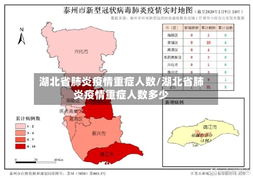 湖北省肺炎疫情重症人数/湖北省肺炎疫情重症人数多少-第2张图片