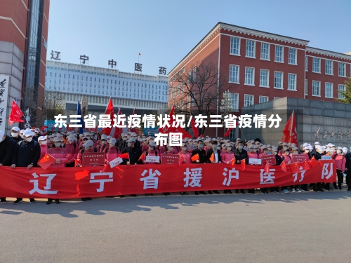 东三省最近疫情状况/东三省疫情分布图-第1张图片