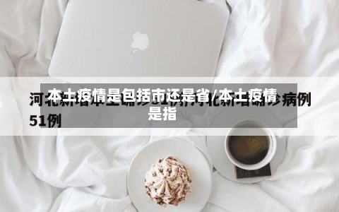 本土疫情是包括市还是省/本土疫情是指-第2张图片