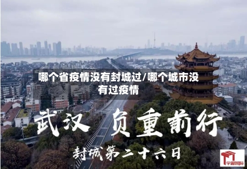 哪个省疫情没有封城过/哪个城市没有过疫情-第2张图片