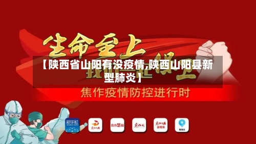 【陕西省山阳有没疫情,陕西山阳县新型肺炎】-第3张图片