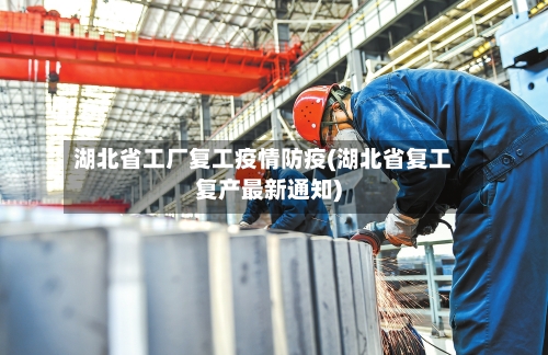 湖北省工厂复工疫情防疫(湖北省复工复产最新通知)-第1张图片