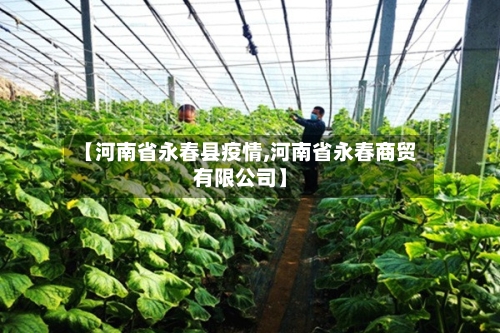 【河南省永春县疫情,河南省永春商贸有限公司】-第2张图片