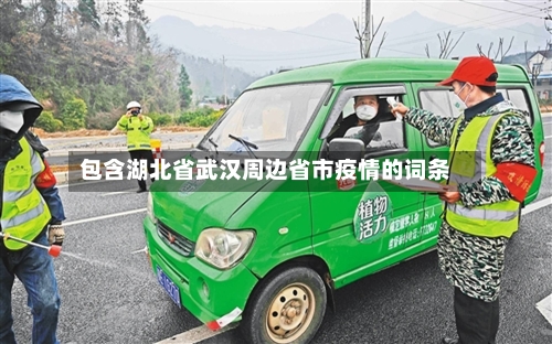包含湖北省武汉周边省市疫情的词条-第2张图片