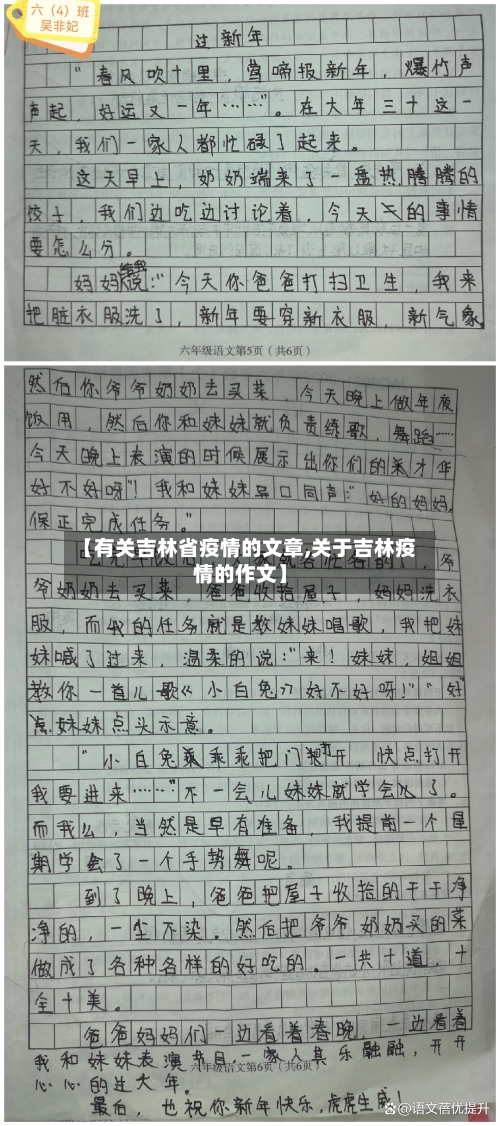 【有关吉林省疫情的文章,关于吉林疫情的作文】-第3张图片