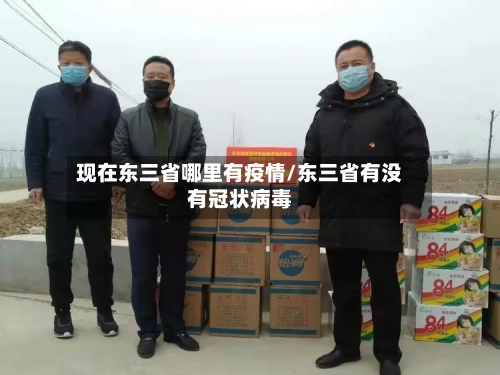 现在东三省哪里有疫情/东三省有没有冠状病毒-第1张图片