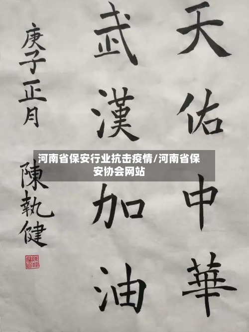 河南省保安行业抗击疫情/河南省保安协会网站-第1张图片