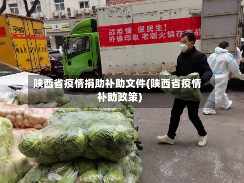 陕西省疫情捐助补助文件(陕西省疫情补助政策)-第2张图片