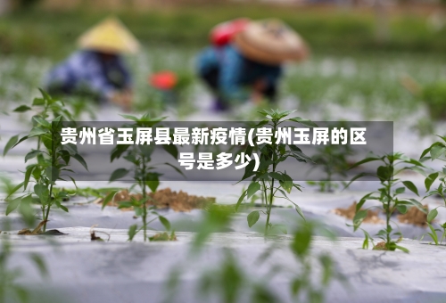 贵州省玉屏县最新疫情(贵州玉屏的区号是多少)-第2张图片