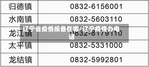 辽宁省疫情报备在哪/辽宁疫情办电话-第3张图片