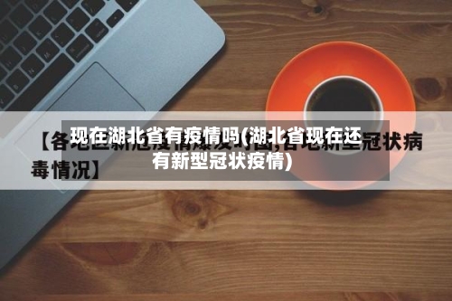 现在湖北省有疫情吗(湖北省现在还有新型冠状疫情)-第1张图片