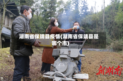 湖南省保靖县疫情(湖南省保靖县是哪个市)-第1张图片