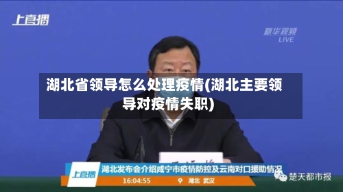 湖北省领导怎么处理疫情(湖北主要领导对疫情失职)-第2张图片