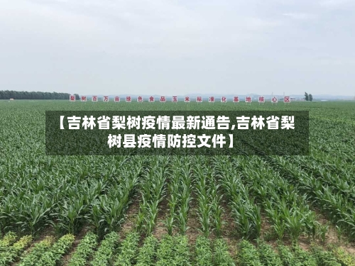 【吉林省梨树疫情最新通告,吉林省梨树县疫情防控文件】-第3张图片