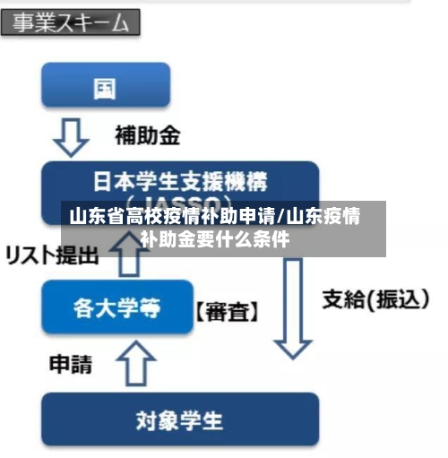 山东省高校疫情补助申请/山东疫情补助金要什么条件-第2张图片