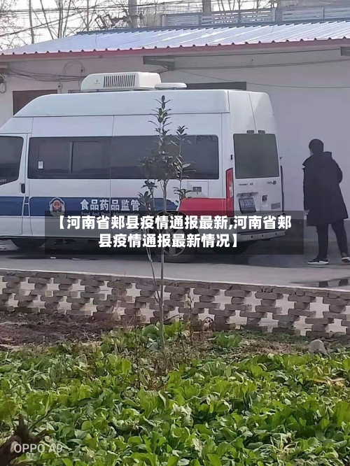 【河南省郏县疫情通报最新,河南省郏县疫情通报最新情况】-第3张图片