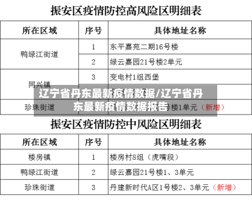 辽宁省丹东最新疫情数据/辽宁省丹东最新疫情数据报告-第2张图片