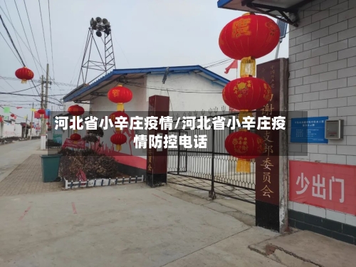 河北省小辛庄疫情/河北省小辛庄疫情防控电话-第3张图片